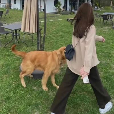 秋寒江南